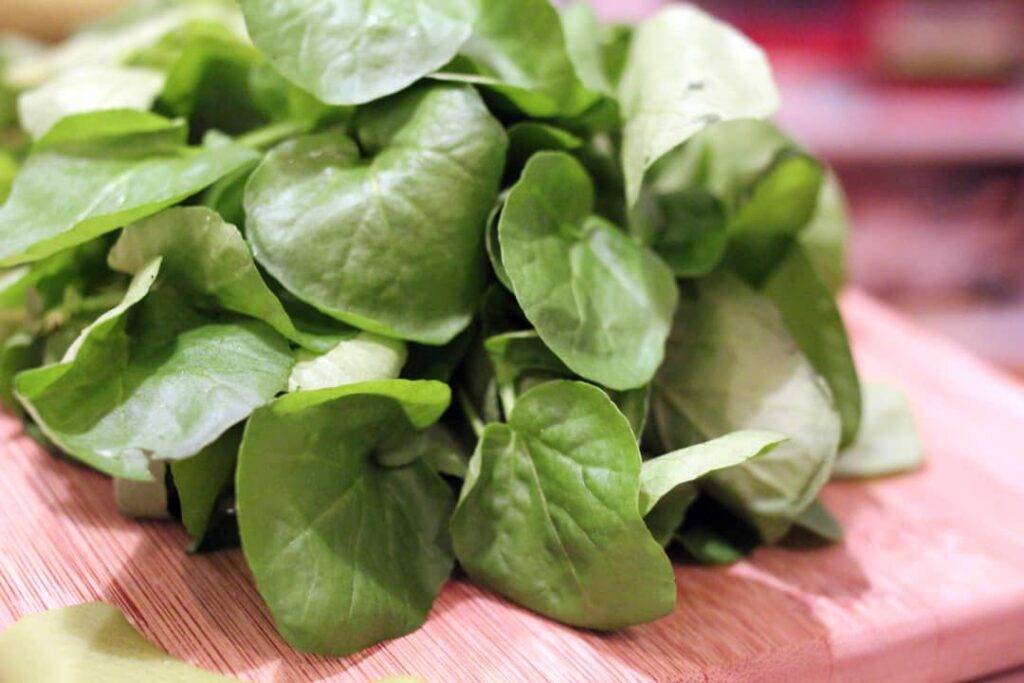 الخضروات الخضراء الصحية التي تحتوي على العناصر الغذائية المفيدة